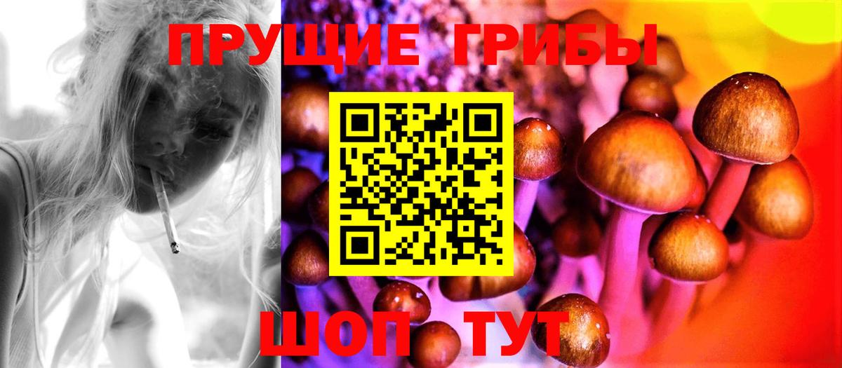 Галлюциногенные грибы мицелий Амурск